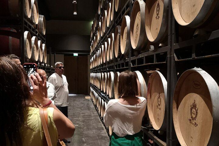 Half-Day Médoc Red Wine Tour from the Cité du Vin: Two Wineries, Six Wines, Margaux (12/12)