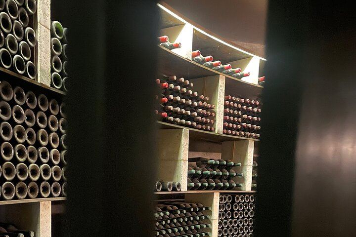 Half-Day Médoc Red Wine Tour from the Cité du Vin: Two Wineries, Six Wines, Margaux (11/12)
