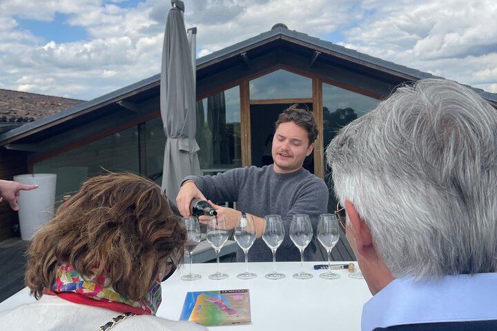 Half-Day Médoc Red Wine Tour from the Cité du Vin: Two Wineries, Six Wines, Margaux (7/12)