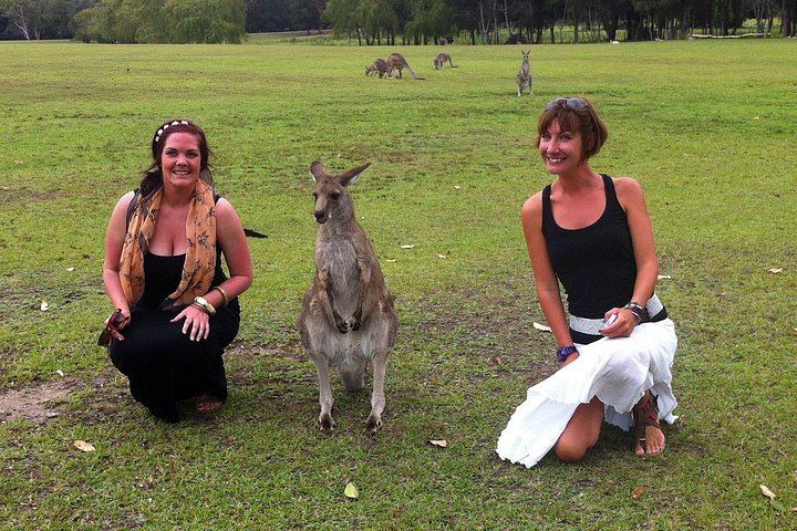 Private Small-Group Hunter Valley Wine Tour from Sydney: Three Boutique Wineries and Lunch (3/10)