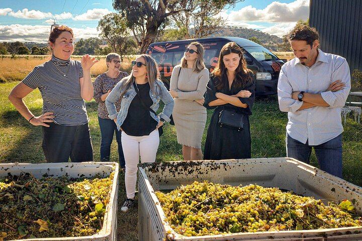 Hunter Valley Grains and Grapes Day Tour from Sydney: Wine, Cheese, Spirits, Lunch (5/12)