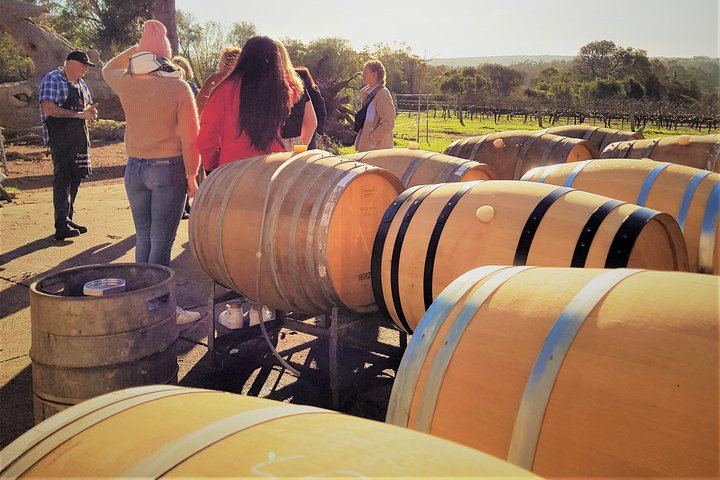 Margaret River Small-Group Tour: Coffee Roastery, Two Boutique Wineries, Boranup Forest (7/12)
