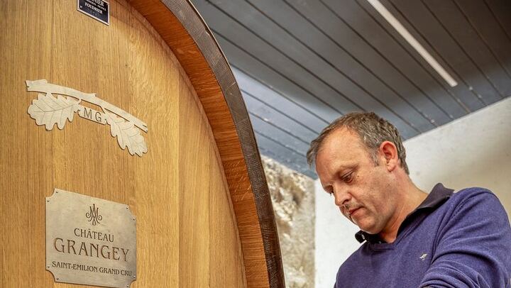 Saint-Émilion Afternoon Wine Tour from Bordeaux: Two Grand Cru Tastings, Max 8 People (1/9)