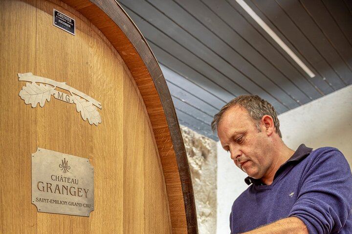 Saint-Émilion Afternoon Wine Tour from Bordeaux: Two Grand Cru Tastings, Max 8 People (1/9)