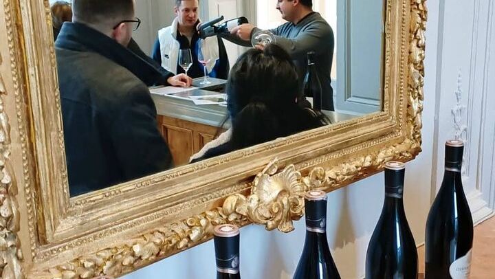 Private Lyon Day Trip to Beaune, Gevrey-Chambertin and Côte de Nuits Cellars (2/12)