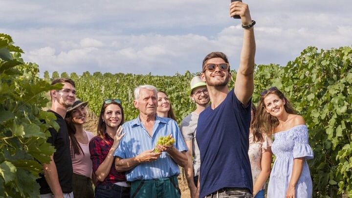Champagne Day Trip from Paris: Mercier Cellar Train, Dom Caudron, Verzenay Vineyard Picnic (2/12)