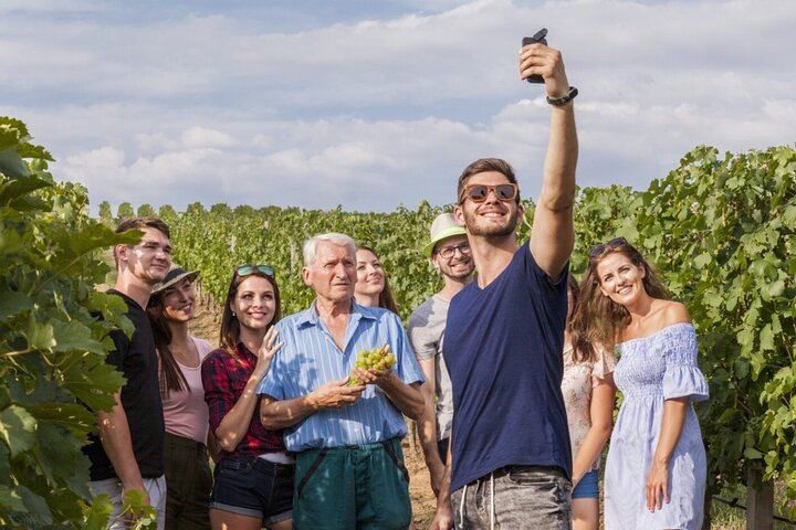 Champagne Day Trip from Paris: Mercier Cellar Train, Dom Caudron, Verzenay Vineyard Picnic (2/12)