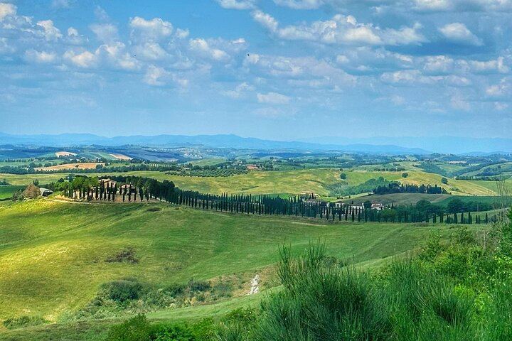 Small Group Chianti Classico Wine Day with a Certified Sommelier and Farm-to-Table Lunch (7/7)