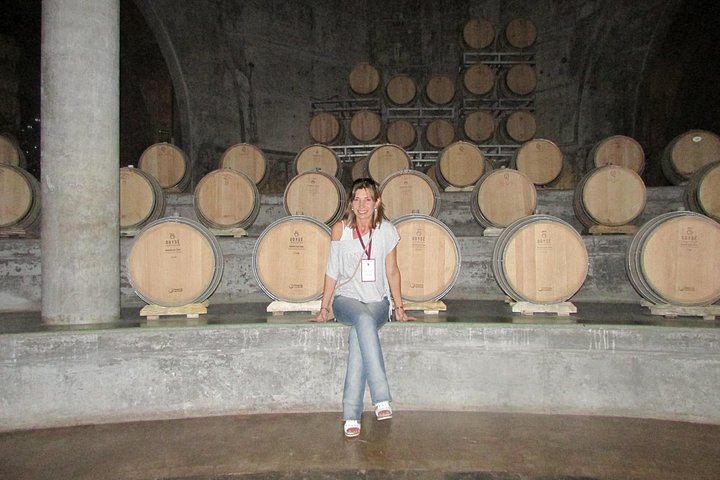 Maipú Private Wine Route: Finca Agostino, Sin Fin and an Olive Oil Boutique (1/12)