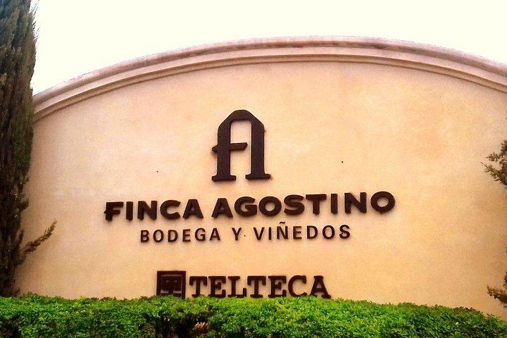 Maipú Private Wine Route: Finca Agostino, Sin Fin and an Olive Oil Boutique (12/12)