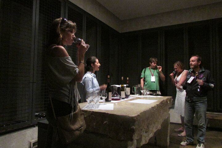 Maipú Private Wine Route: Finca Agostino, Sin Fin and an Olive Oil Boutique (2/12)