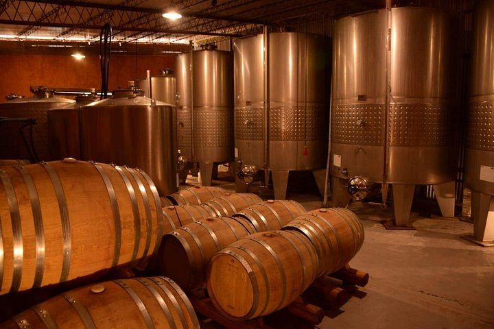 Maipú Private Wine Route: Finca Agostino, Sin Fin and an Olive Oil Boutique (11/12)