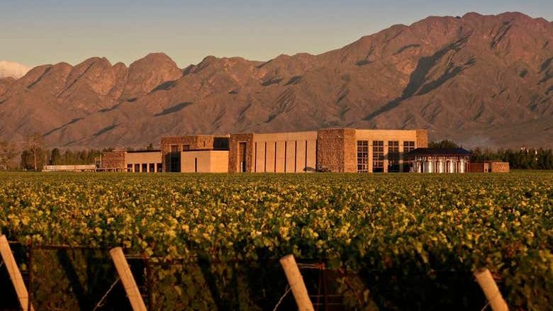 Private Luján de Cuyo Wine Tours: Norton, Vistalba, Séptima, Nieto Senetiner (3/7)