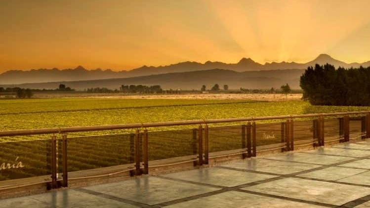 Private Luján de Cuyo Wine Tours: Norton, Vistalba, Séptima, Nieto Senetiner (4/7)