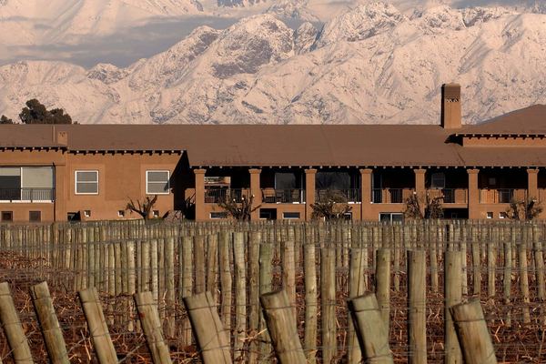 Private Luján de Cuyo Wine Tours: Norton, Vistalba, Séptima, Nieto Senetiner