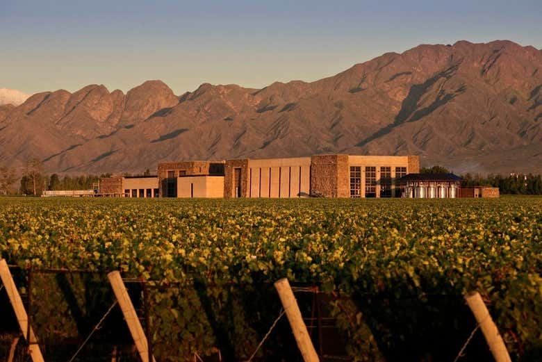 Private Luján de Cuyo Wine Tours: Norton, Vistalba, Séptima, Nieto Senetiner (3/7)