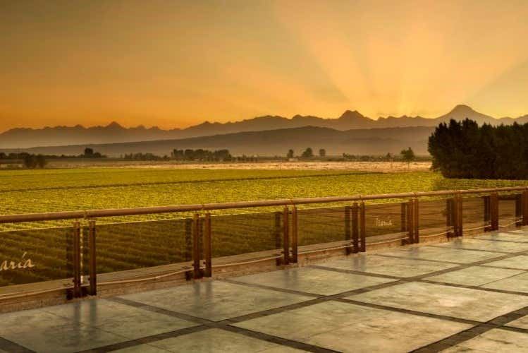 Private Luján de Cuyo Wine Tours: Norton, Vistalba, Séptima, Nieto Senetiner (4/7)