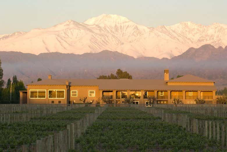 Private Luján de Cuyo Wine Tours: Norton, Vistalba, Séptima, Nieto Senetiner (5/7)