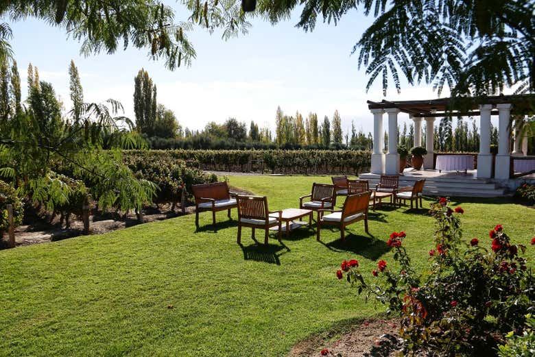 Private Luján de Cuyo Wine Tours: Norton, Vistalba, Séptima, Nieto Senetiner (6/7)
