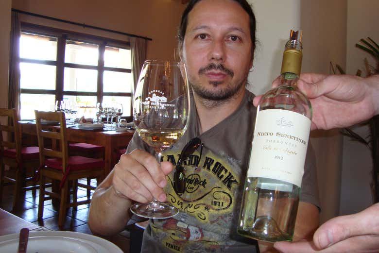 Private Luján de Cuyo Wine Tours: Norton, Vistalba, Séptima, Nieto Senetiner (7/7)