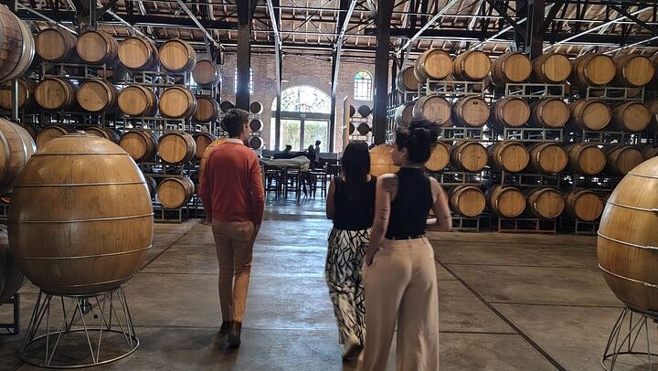 Private Maipú Wine Day with Antigal, Olive Oil and Lunch (1/6)