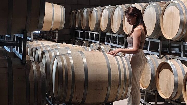 Private Maipú Wine Day with Antigal, Olive Oil and Lunch (3/6)