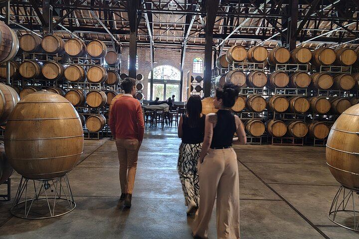 Private Maipú Wine Day with Antigal, Olive Oil and Lunch (1/6)