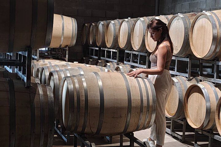 Private Maipú Wine Day with Antigal, Olive Oil and Lunch (3/6)