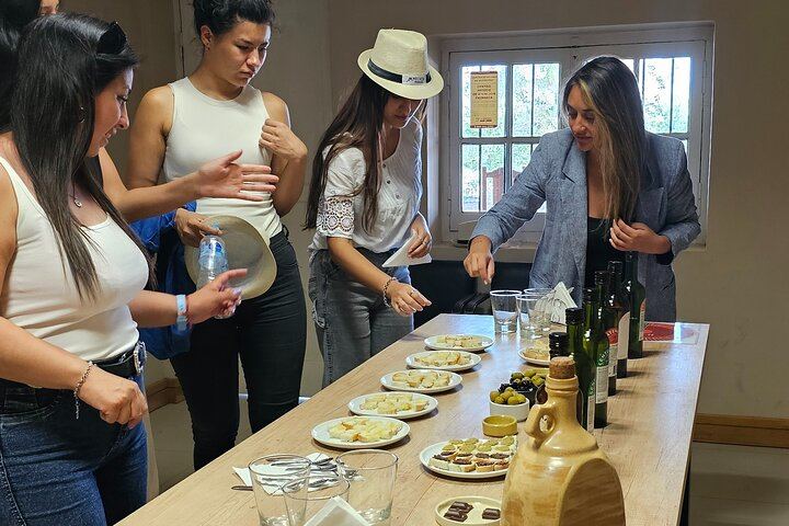 Private Maipú Wine Day with Antigal, Olive Oil and Lunch (5/6)
