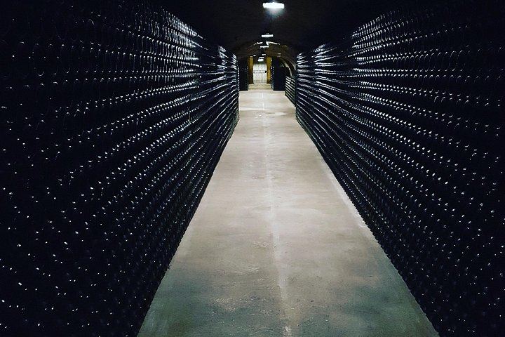 Paris Wine Day Tours Champagne Day Trip: Mumm Cellars, Hautvillers and Three Houses (7/10)