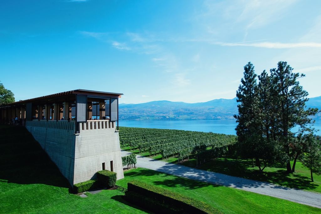 Winery terrace above vineyard rows with Okanagan Lake behind, near Kelowna