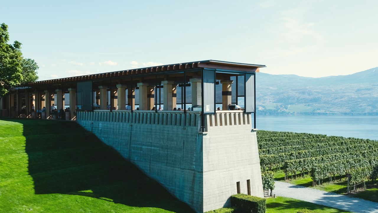 Modern concrete and glass winery terrace overlooking rows of vines and a lake under a clear sky