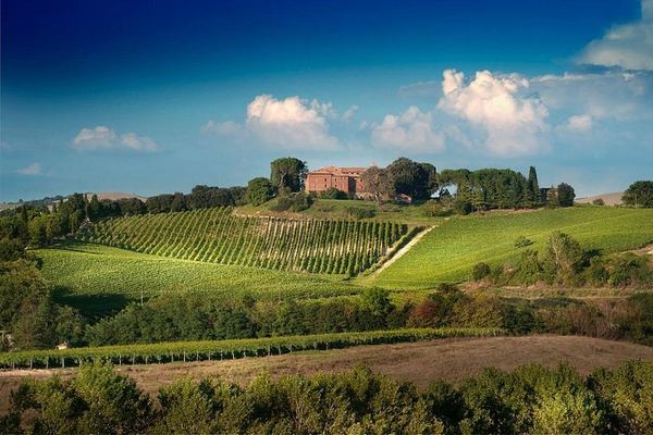 Brunello Wine Tasting with a Sommelier at Castello Tricerchi, Montalcino, 1.5 Hours