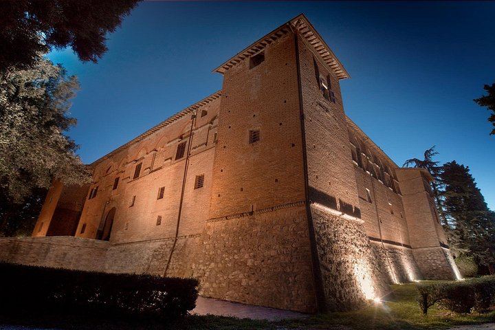 Brunello Wine Tasting with a Sommelier at Castello Tricerchi, Montalcino, 1.5 Hours (5/5)