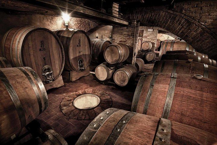Brunello Wine Tasting with a Sommelier at Castello Tricerchi, Montalcino, 1.5 Hours (3/5)