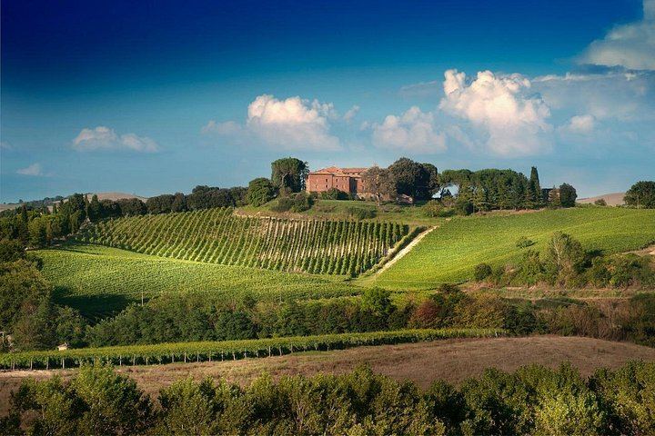 Castello Tricerchi Brunello Tasting and Tuscan Lunch in a Medieval Castle near Montalcino (8/12)