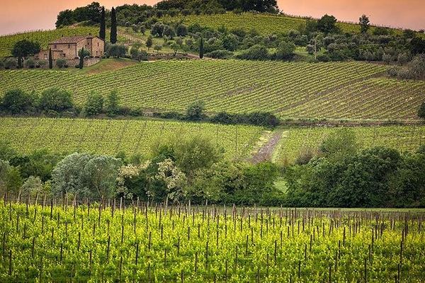 Private Day from Florence: Brunello in Montalcino and Vino Nobile in Montepulciano