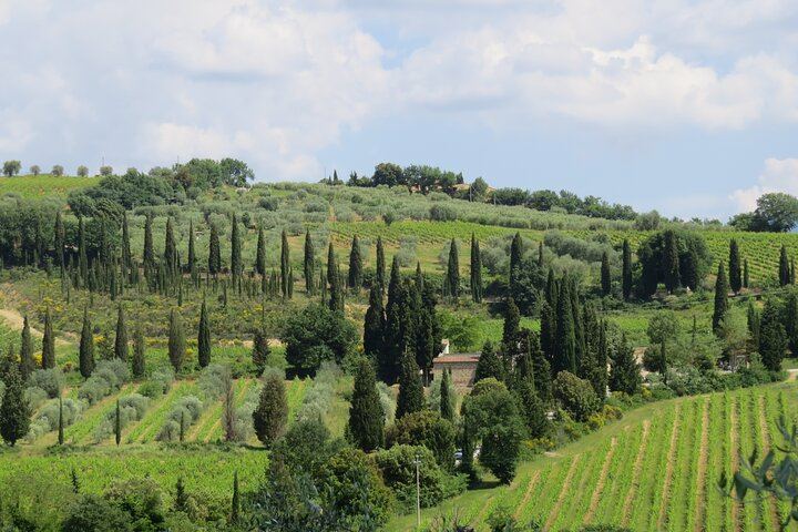 Chianti, Montalcino and Montepulciano by Minivan from Florence: Wine Tastings and Lunch (8/12)