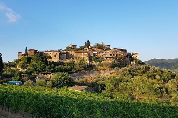 Montefioralle Family Winery near Greve in Chianti: Small Cellar Visit and Vintage Tasting