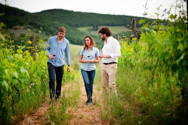 Montefioralle Family Winery near Greve in Chianti: Small Cellar Visit and Vintage Tasting (3/6)