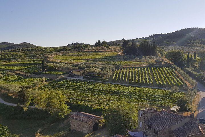 Montefioralle Family Winery near Greve in Chianti: Small Cellar Visit and Vintage Tasting (6/6)