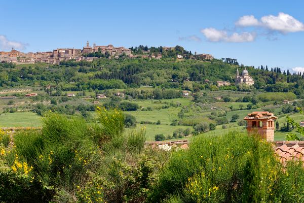 Montepulciano Wine Tours