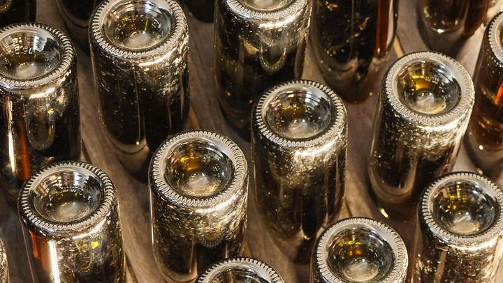Podere della Bruciata Wine Tasting: Vineyard Walk, Natural Cellar and Rare Grape Varieties (4/5)