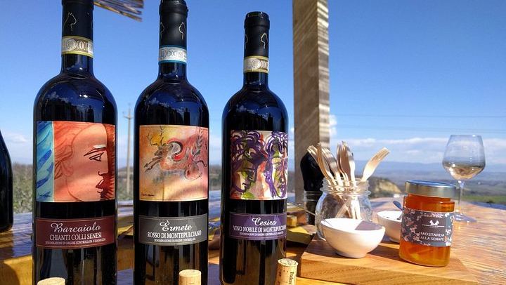 Podere della Bruciata Wine Tasting: Vineyard Walk, Natural Cellar and Rare Grape Varieties (1/5)