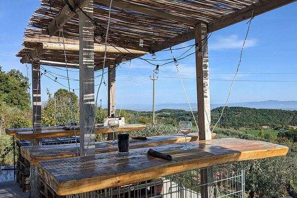 Podere della Bruciata Wine Tasting: Vineyard Walk, Natural Cellar and Rare Grape Varieties