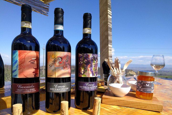 Podere della Bruciata Wine Tasting: Vineyard Walk, Natural Cellar and Rare Grape Varieties (1/5)