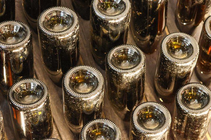 Podere della Bruciata Wine Tasting: Vineyard Walk, Natural Cellar and Rare Grape Varieties (4/5)
