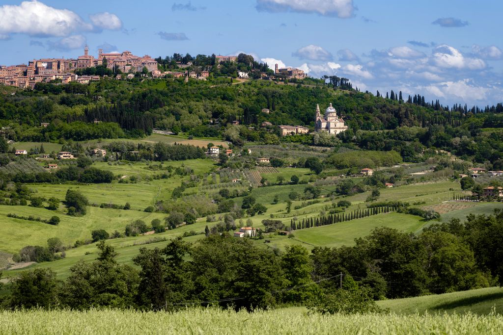 The hilltop town of Montepulciano and the church of San Biagio above green Tuscan countryside and vineyards