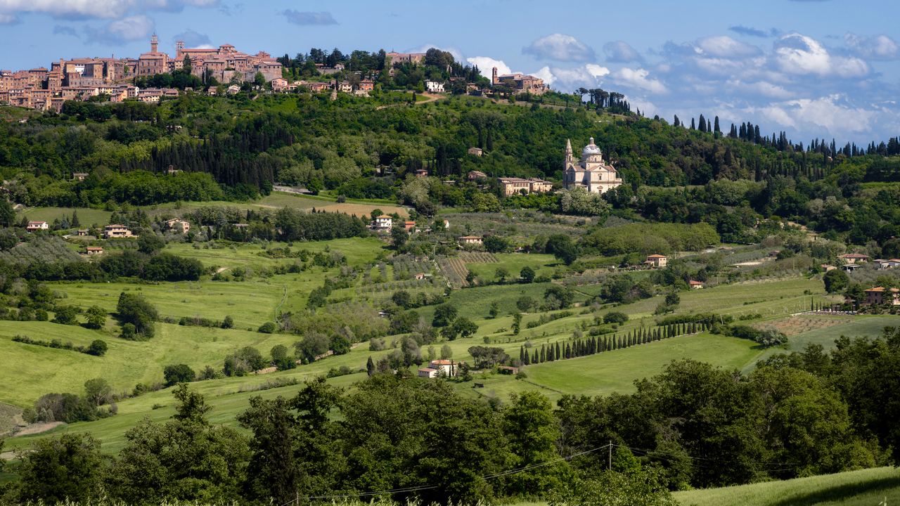 The hilltop town of Montepulciano and the church of San Biagio above green Tuscan countryside and vineyards