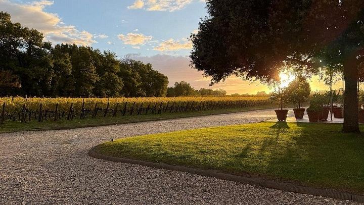 Montepulciano Guided Wine Tour: Three Vino Nobile Estates, Tastings, Lunch at the Second (4/9)